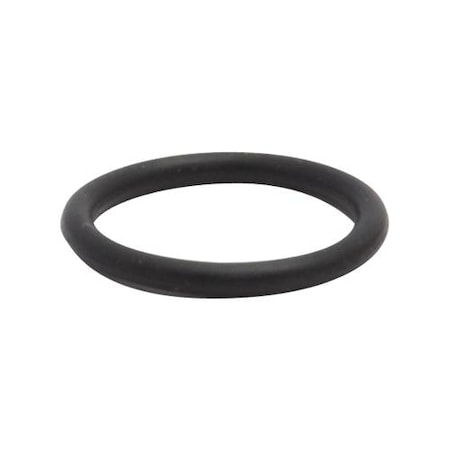 Fisher O-Ring, 1600-5000 1600-5000